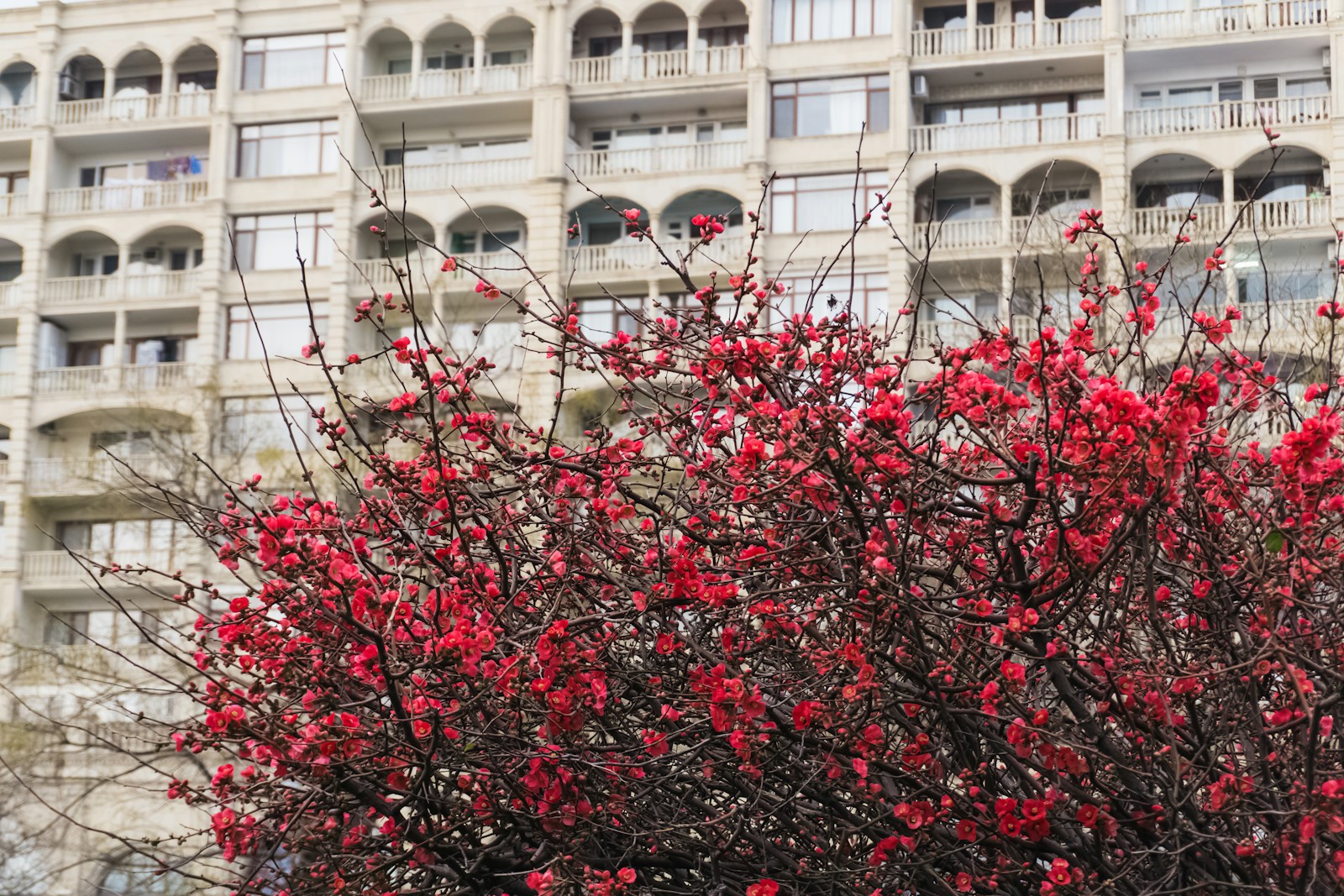 Preparing Your Knoxville Hotel for Spring Break and Busy Tourist Season: Is Your Insurance Ready?